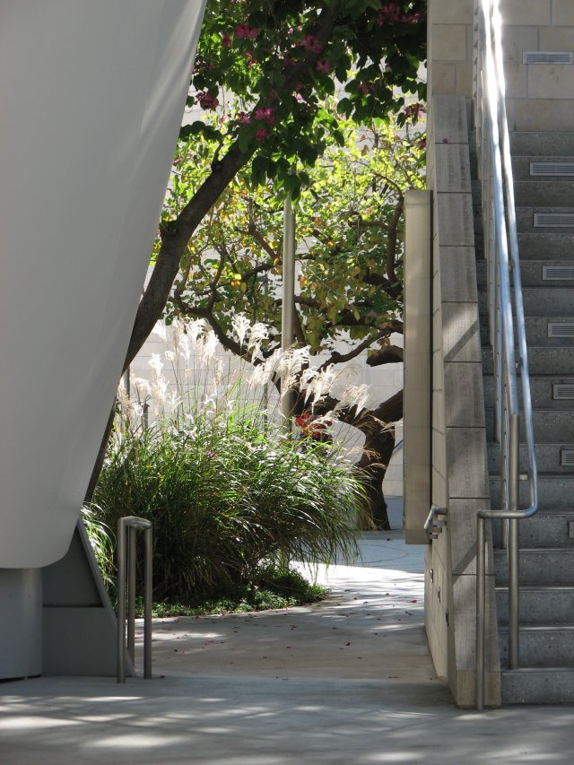 Walt Disney Concert Hall garden